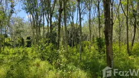 Land for sale in Pa Khlok, Phuket