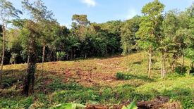 Land for sale in Wichit, Phuket