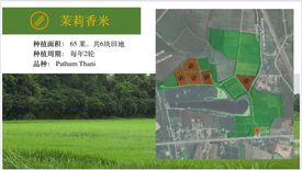 Land for sale in Ban Phrik, Nakhon Nayok