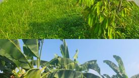 Land for sale in Ban Phrik, Nakhon Nayok