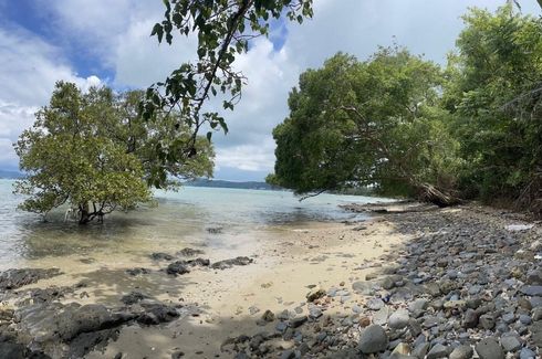 Land for sale in Rawai, Phuket