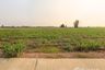 Land for sale in Thep Nakhon, Kamphaeng Phet