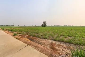 Land for sale in Thep Nakhon, Kamphaeng Phet
