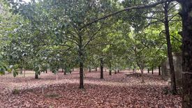 Land for sale in Na Yai Am, Chanthaburi