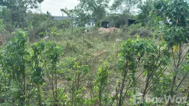Land for sale in Phe, Rayong