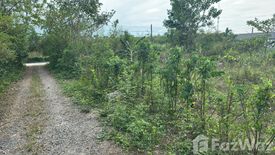 Land for sale in Phe, Rayong