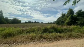 Land for sale in Bueng O, Nakhon Ratchasima