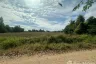 Land for sale in Bueng O, Nakhon Ratchasima