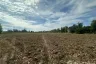 Land for sale in Bueng O, Nakhon Ratchasima