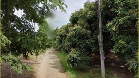Land for sale in Ban Tan, Chiang Mai