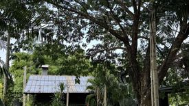 Land for sale in Ban Pong, Chiang Mai