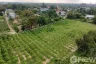 Land for sale in Nong Pla Lai, Chonburi