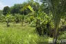 Land for sale in Si Sunthon, Phuket