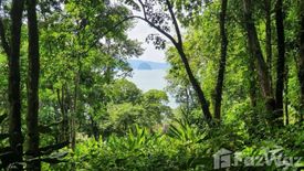 Land for sale in Ko Yao Noi, Phang Nga