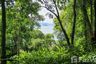 Land for sale in Ko Yao Noi, Phang Nga