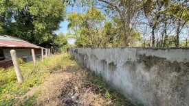 Land for sale in Phanao, Nakhon Ratchasima