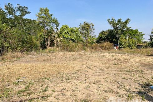 Land for sale in Phanao, Nakhon Ratchasima