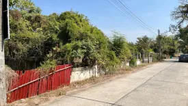 Land for sale in Phanao, Nakhon Ratchasima