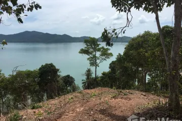 Land for sale in Ko Yao Yai, Phang Nga