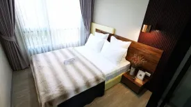 1 Bedroom Condo for rent in Rye Sukhumvit 101/1, Bang Chak, Bangkok