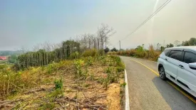 Land for sale in Chiang Klang, Nan