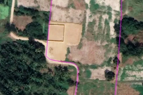 Land for sale in Nong Pho, Ratchaburi