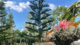 3 Bedroom Villa for sale in San Klang, Chiang Mai