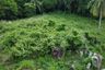 Land for sale in Ang Thong, Surat Thani