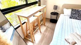 1 Bedroom Condo for rent in dcondo reef, Kathu, Phuket