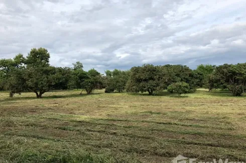 Land for sale in Nam Phrae, Chiang Mai