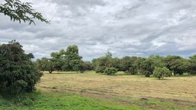 Land for sale in Nam Phrae, Chiang Mai