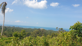 Land for sale in Ang Thong, Surat Thani