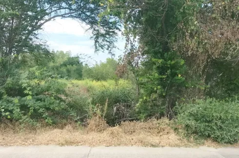 Land for sale in Hat Chao Samran, Phetchaburi