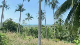 Land for sale in Lipa Noi, Surat Thani