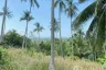 Land for sale in Lipa Noi, Surat Thani
