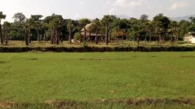 Land for sale in Mae Raem, Chiang Mai