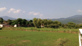 Land for sale in Mae Raem, Chiang Mai