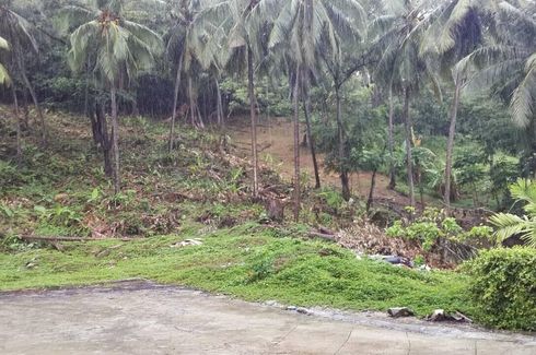 Land for sale in Karon, Phuket