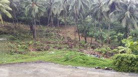 Land for sale in Karon, Phuket