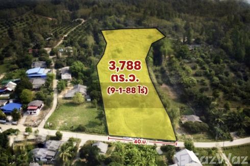 Land for sale in Mae Taeng, Chiang Mai