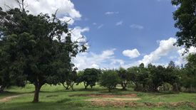 Land for sale in Mae Taeng, Chiang Mai