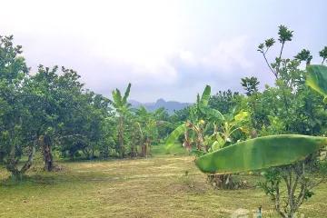 Land for sale in Linthin, Kanchanaburi