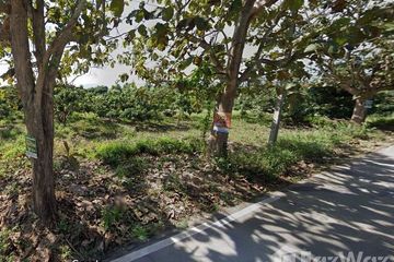 Land for sale in Pong Tam, Chiang Mai