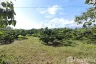 Land for sale in Pong Tam, Chiang Mai