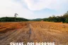 Land for sale in Chak Phong, Rayong