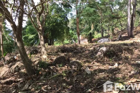 Land for sale in Patong, Phuket