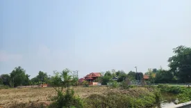 Land for sale in Mae Pu Kha, Chiang Mai