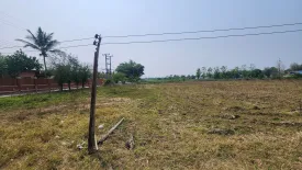 Land for sale in Mae Pu Kha, Chiang Mai