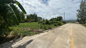 Land for sale in Thep Krasatti, Phuket