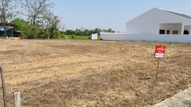 Land for sale in Buak Khang, Chiang Mai